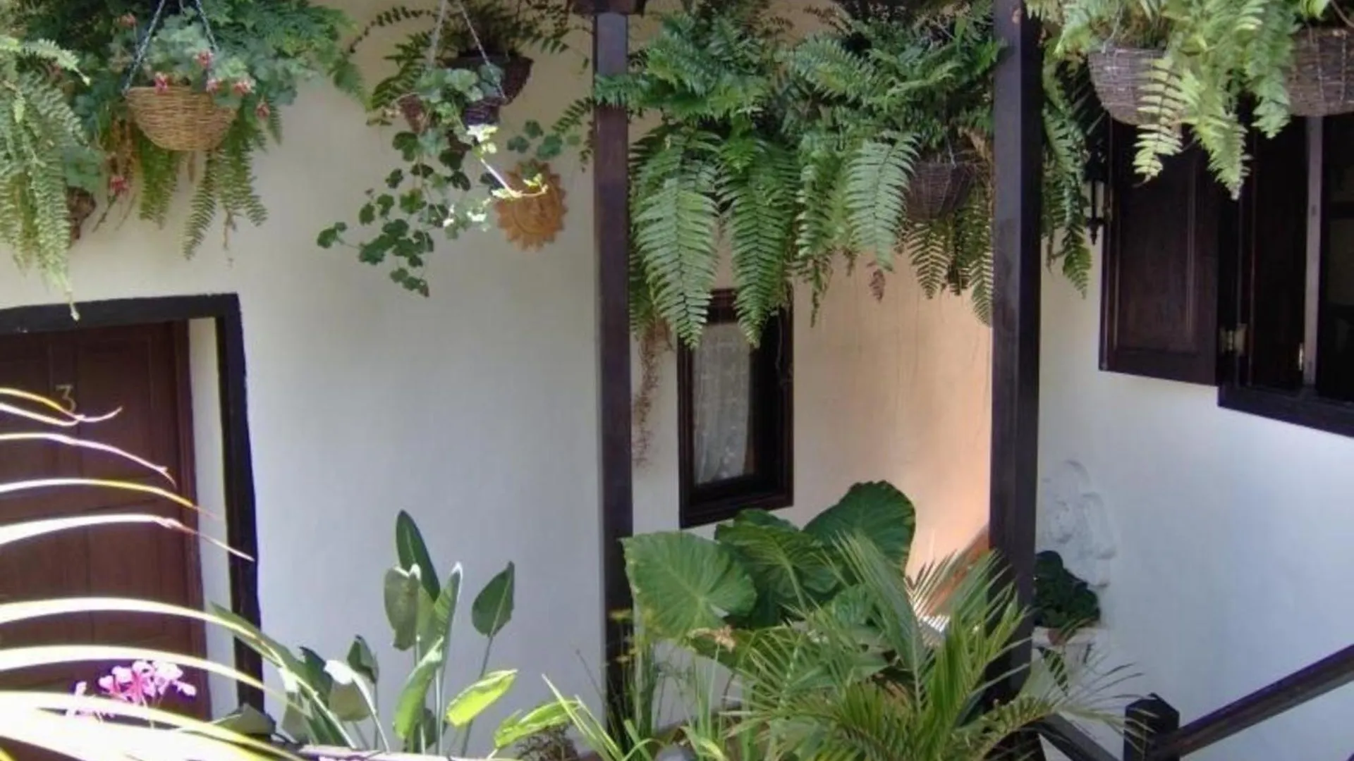 Lägenhet Ferienwohnung Fuer 2 Personen Ca 50 M In Icod De Los Vinos, Teneriffa Nordkueste Von Teneriffa